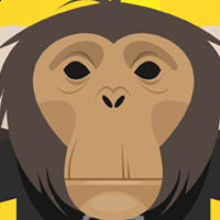 Music is for Monkeys